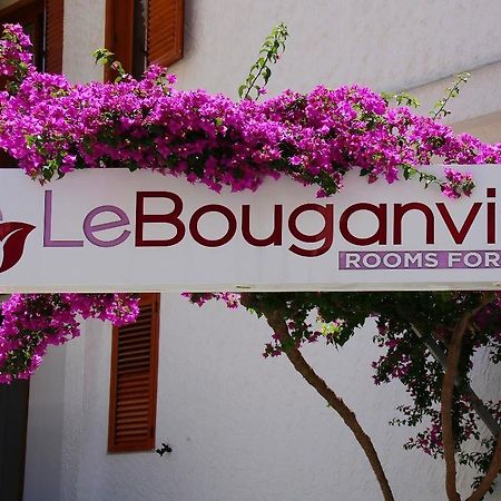 Le Bouganville Vieste Ngoại thất bức ảnh